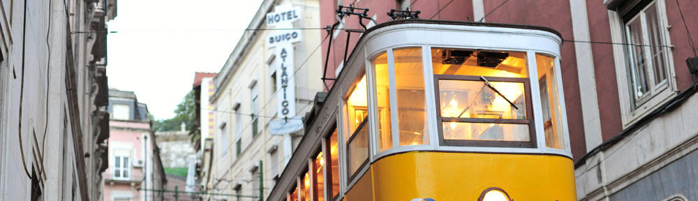 Infographiste Expert Adobe